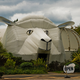 Image for article titled Incredible Animal-Shaped Buildings from Around the World